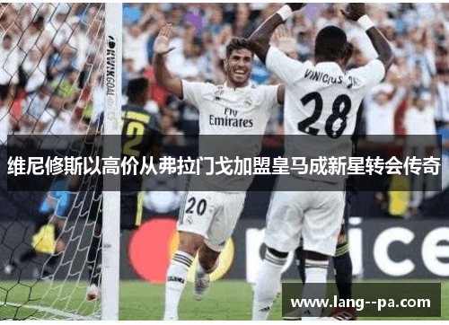维尼修斯以高价从弗拉门戈加盟皇马成新星转会传奇